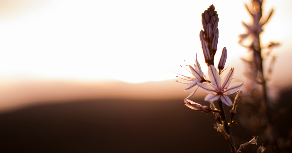 The AI vanilla killer: why editorial judgement is more important than ever